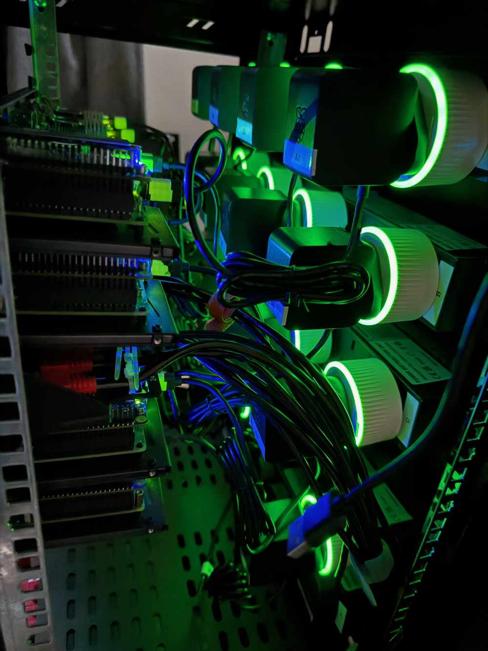server_backplane_with_shelly_plus.jpg
